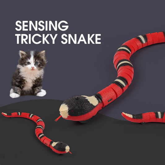 Automatic Electronic Snake For Cats